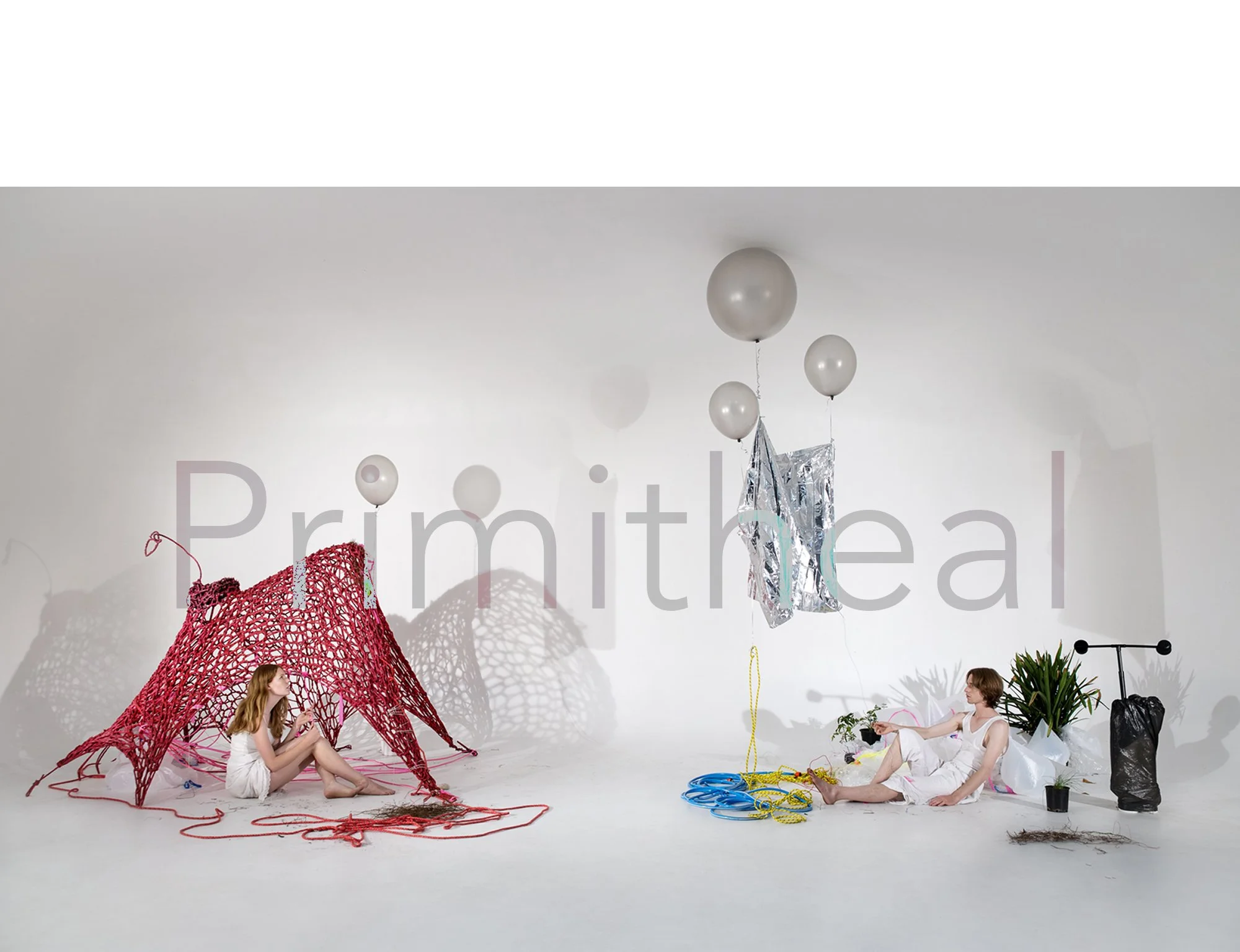 Primitheal_Landscape_2017 copy.jpg