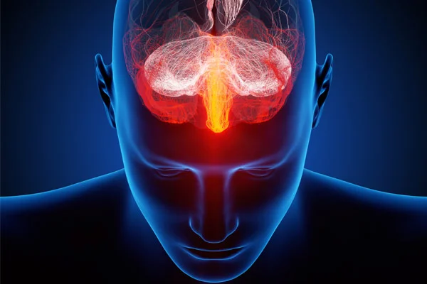 “Brainspotting is based on the profound attunement of the therapist with the patient, finding a somatic cue and extinguishing it by down-regulating the amygdala. It isn’t just PNS (Parasympathetic Nervous System) activation that is facilitated, it is homeostasis.” -- Robert Scaer, MD, “The Trauma Spectrum”