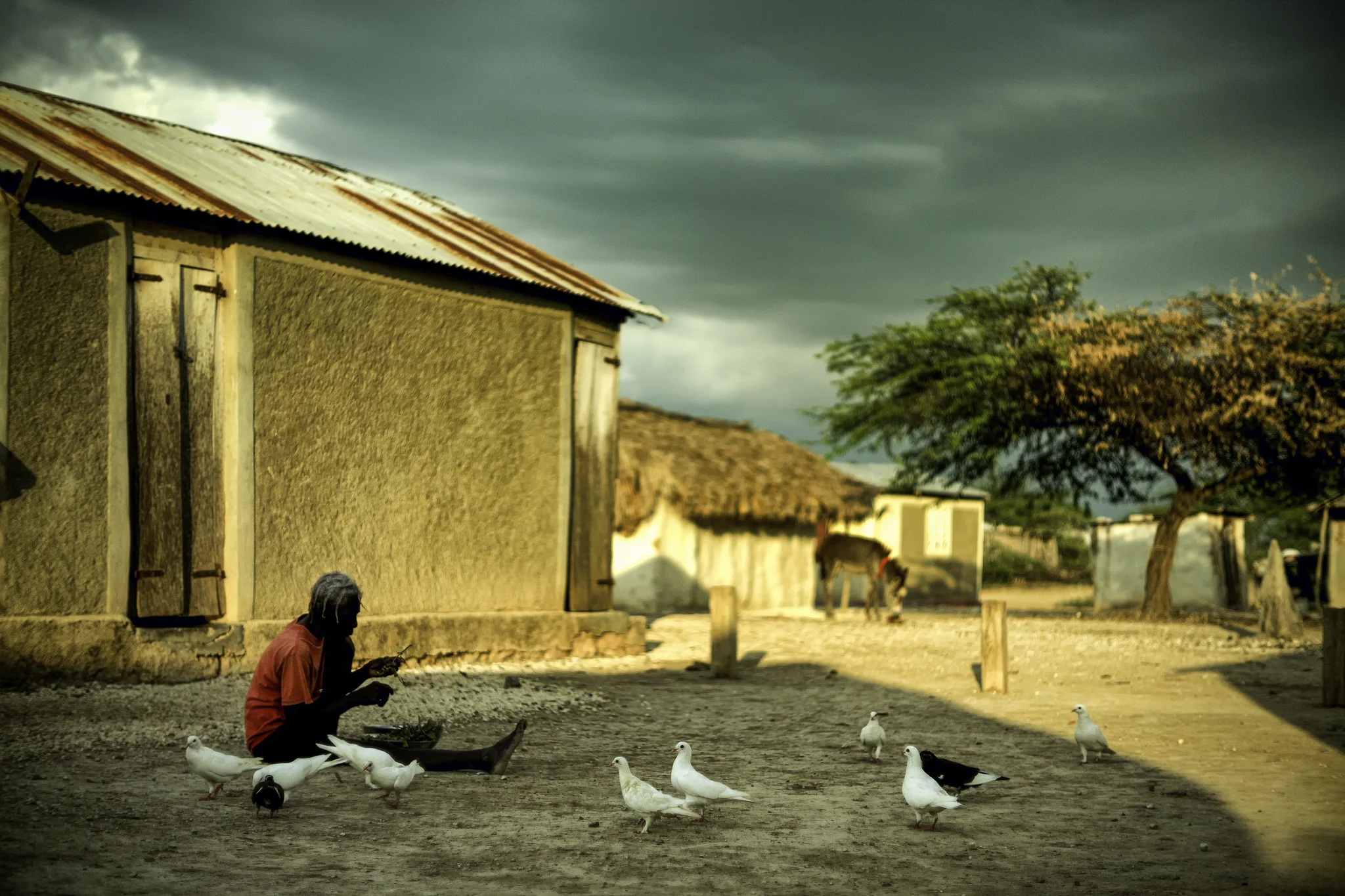 haiti-16.jpg