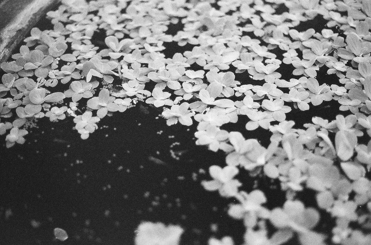 160617_39.JPG