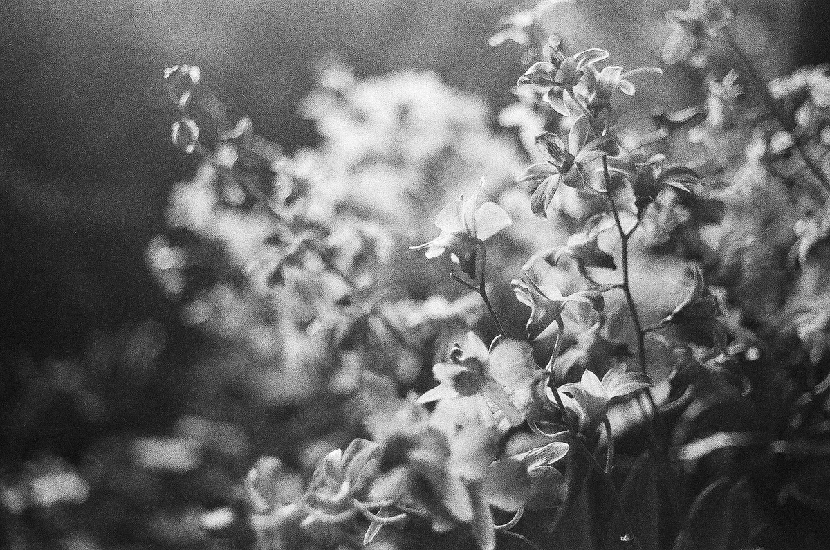 160617_40.JPG
