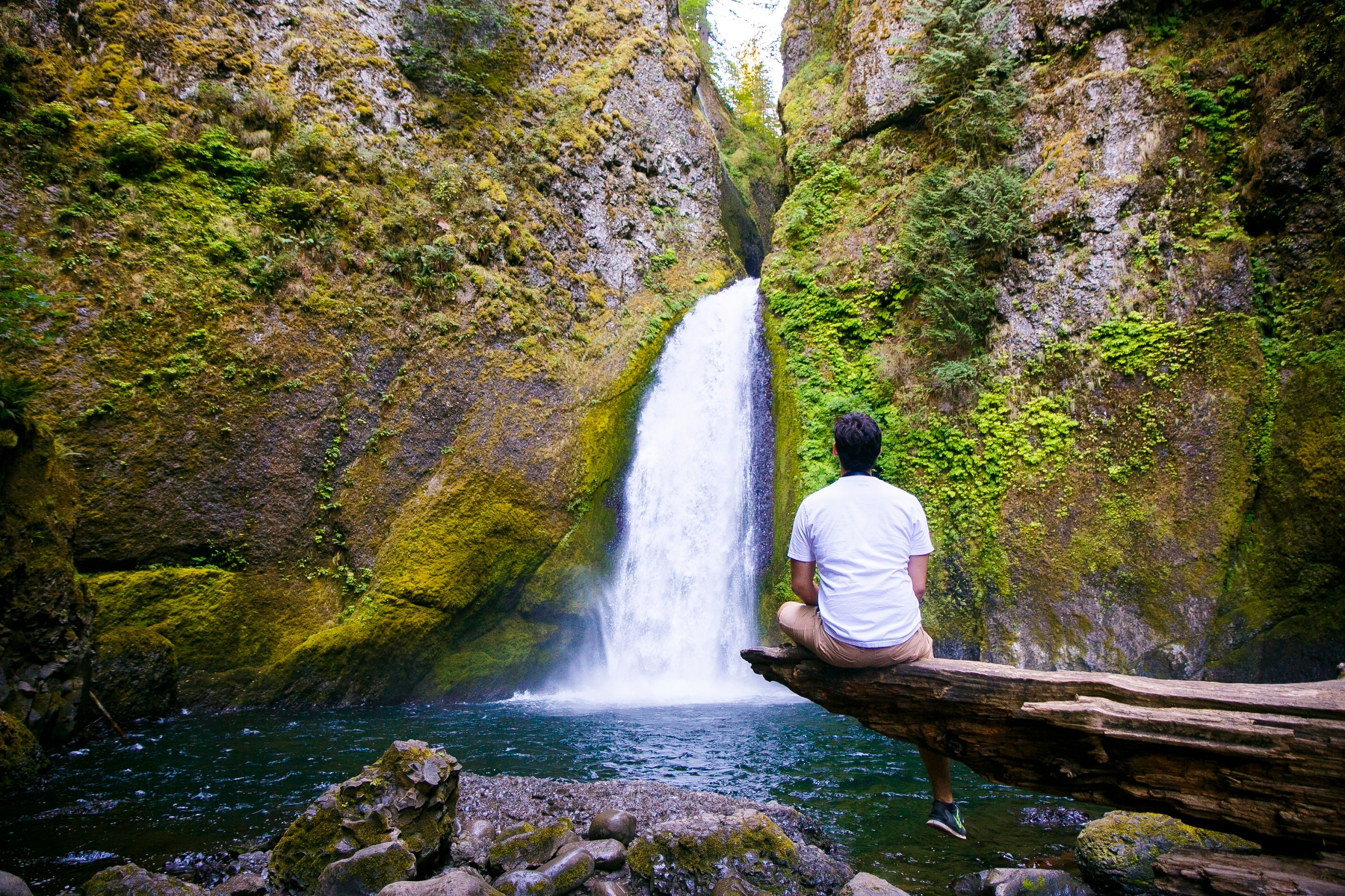 Adopt the pace of Nature: her secret is patience. - Ralph Waldo Emerson