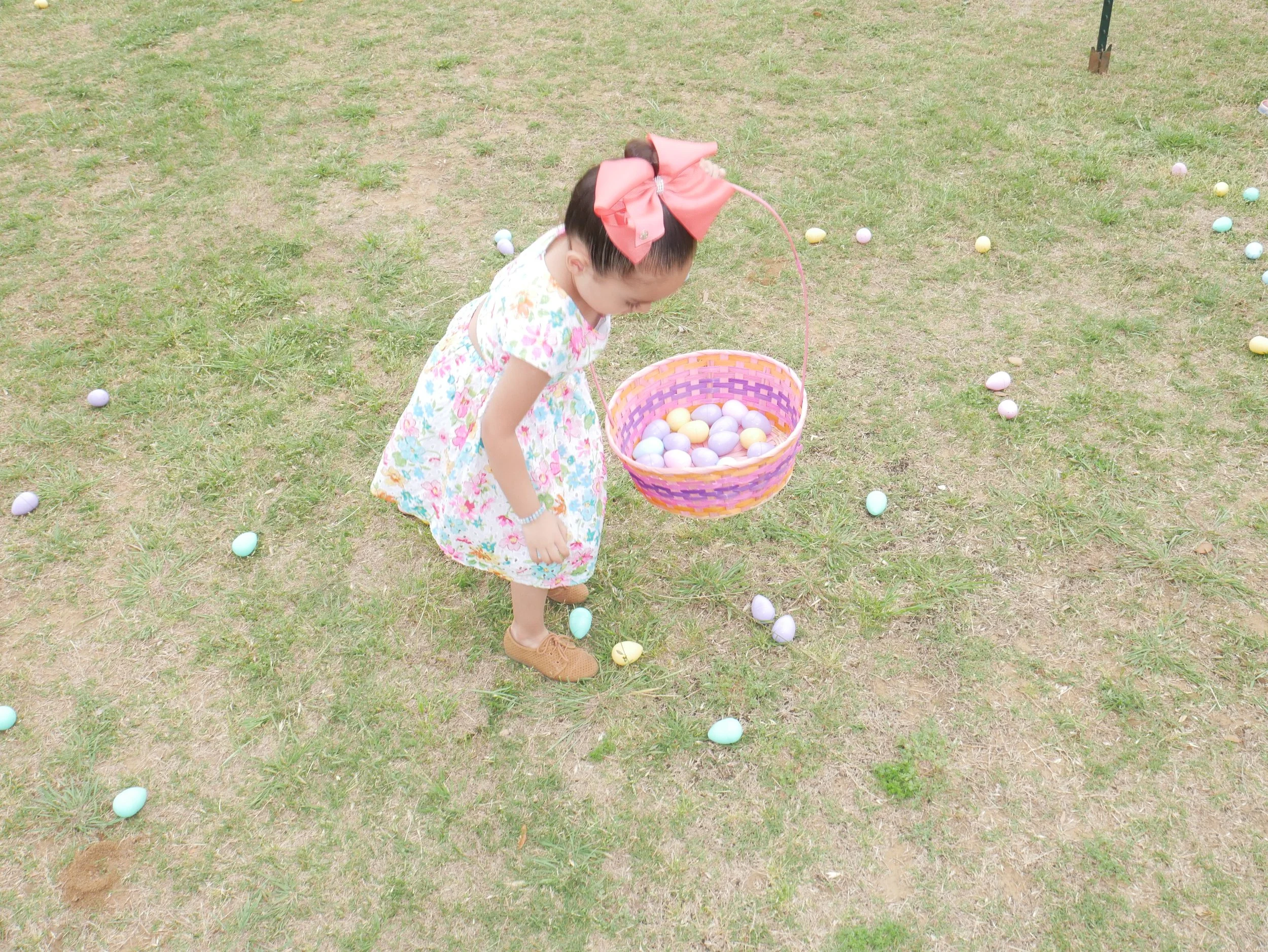 P1110717.JPG