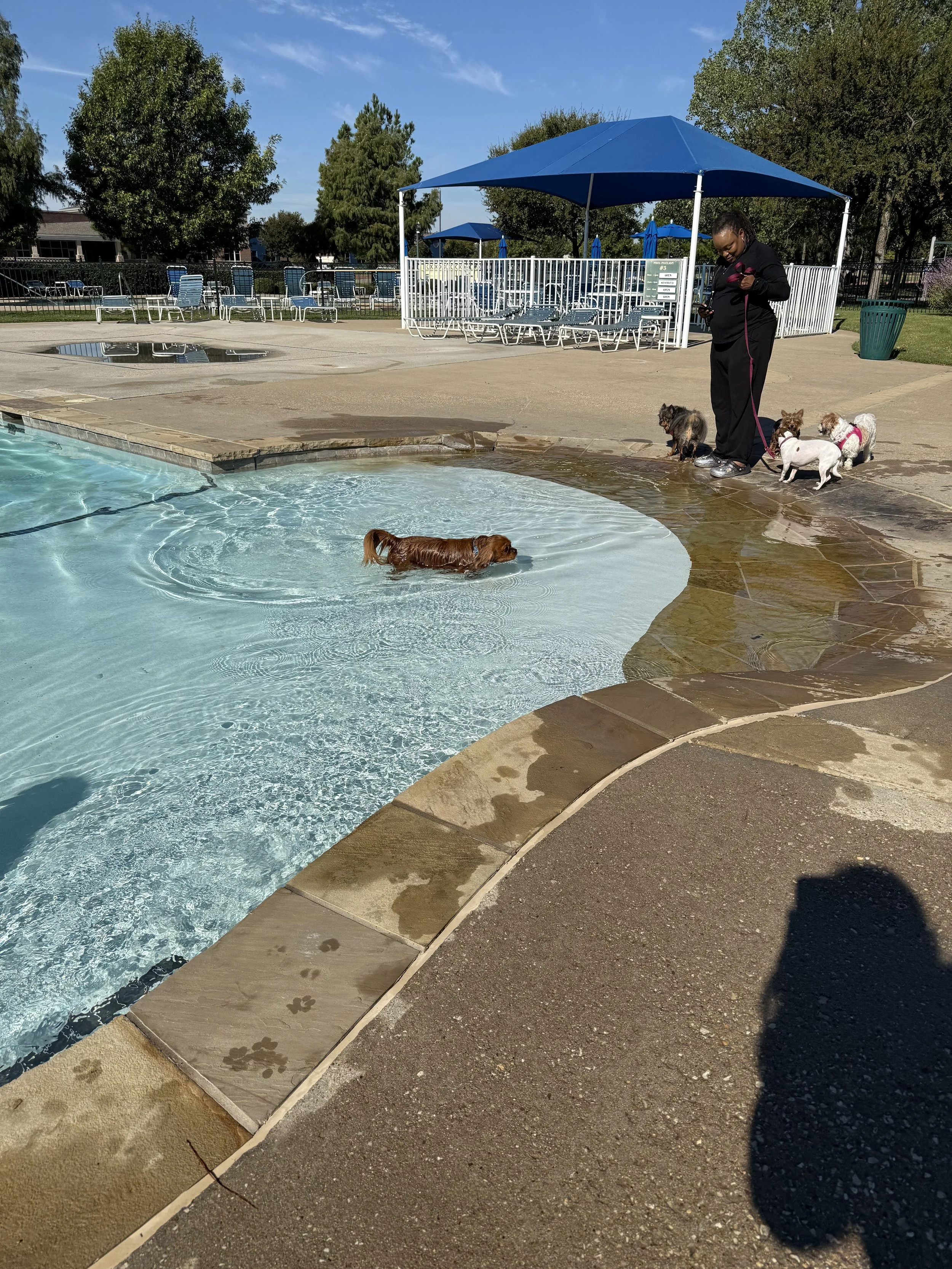 IMG_3474.jpeg