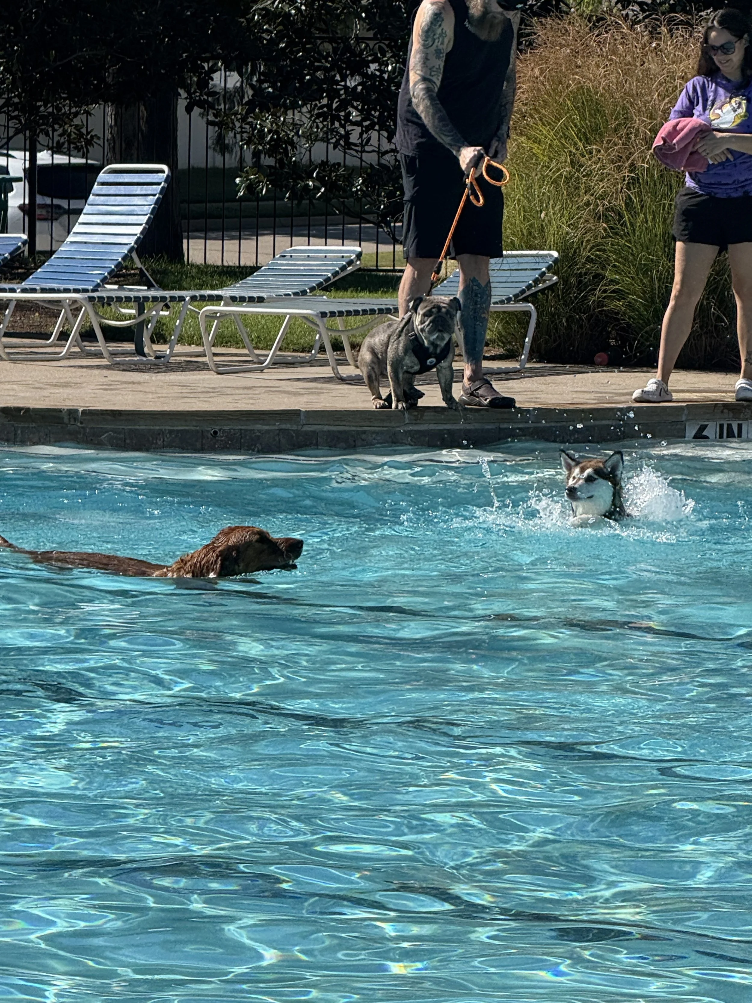IMG_3492.jpeg