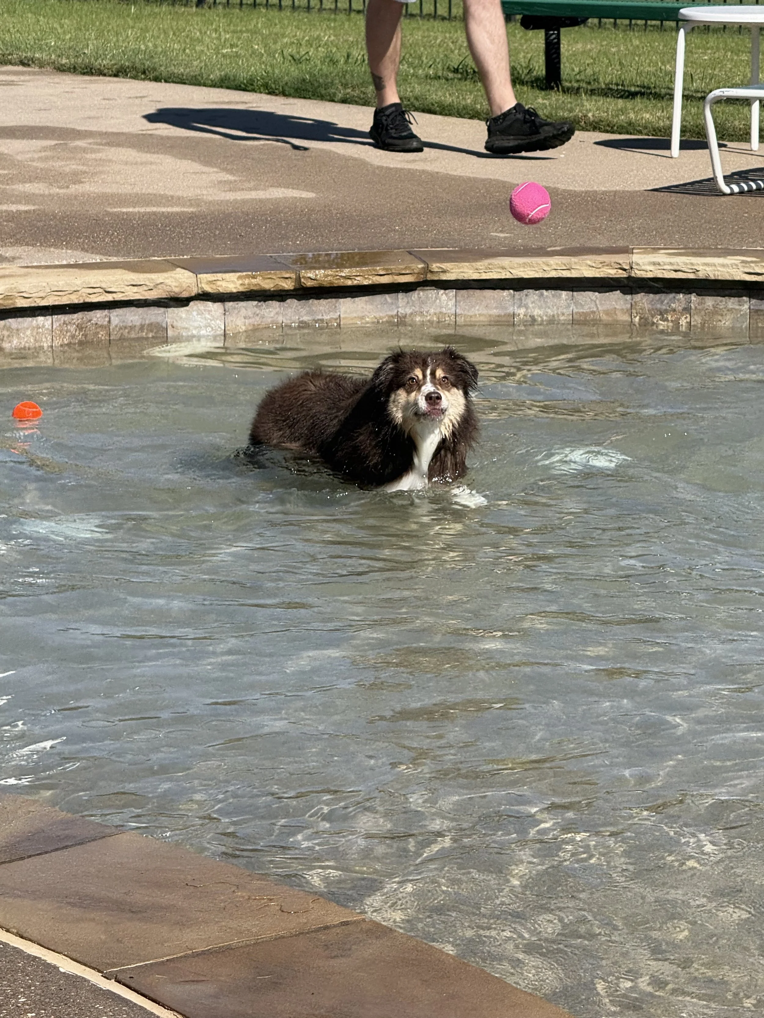 IMG_3497.jpeg