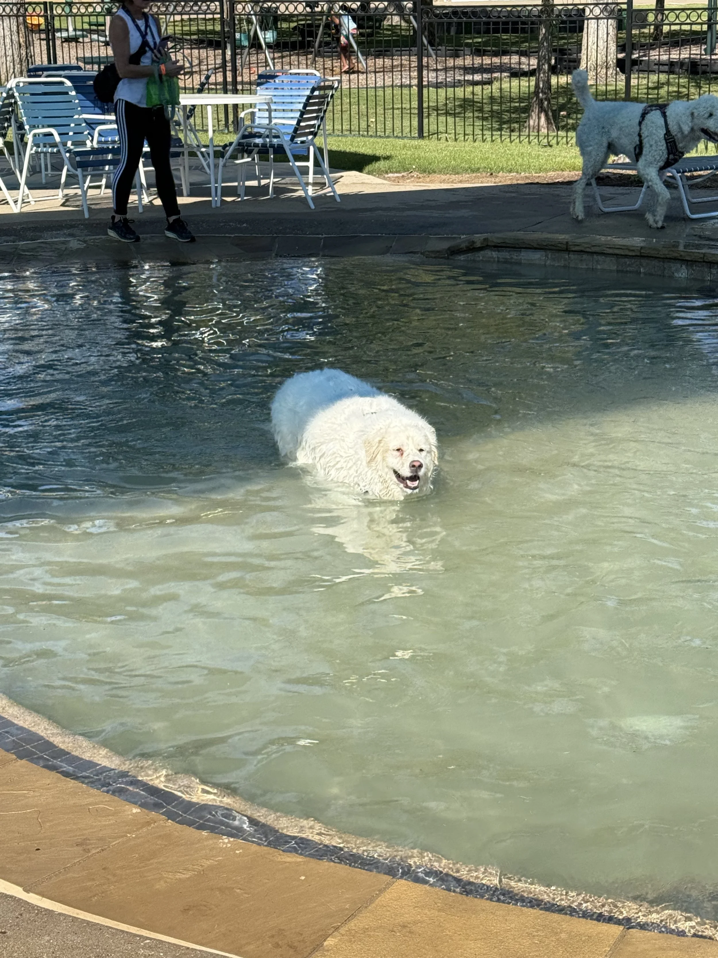 IMG_3499.jpeg
