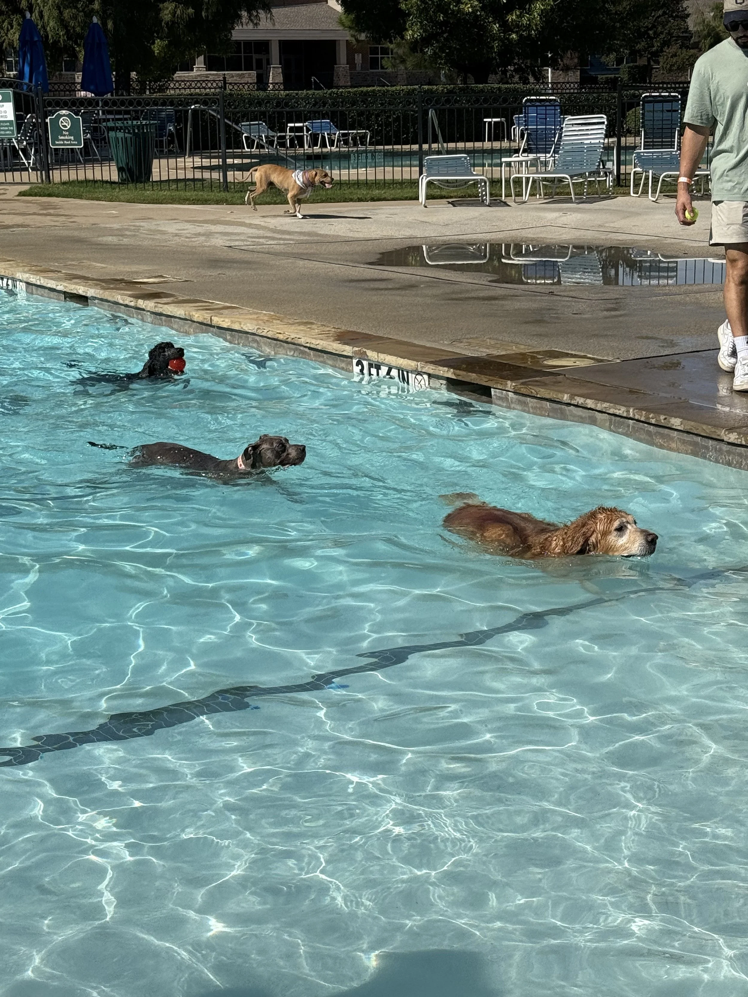 IMG_3500.jpeg