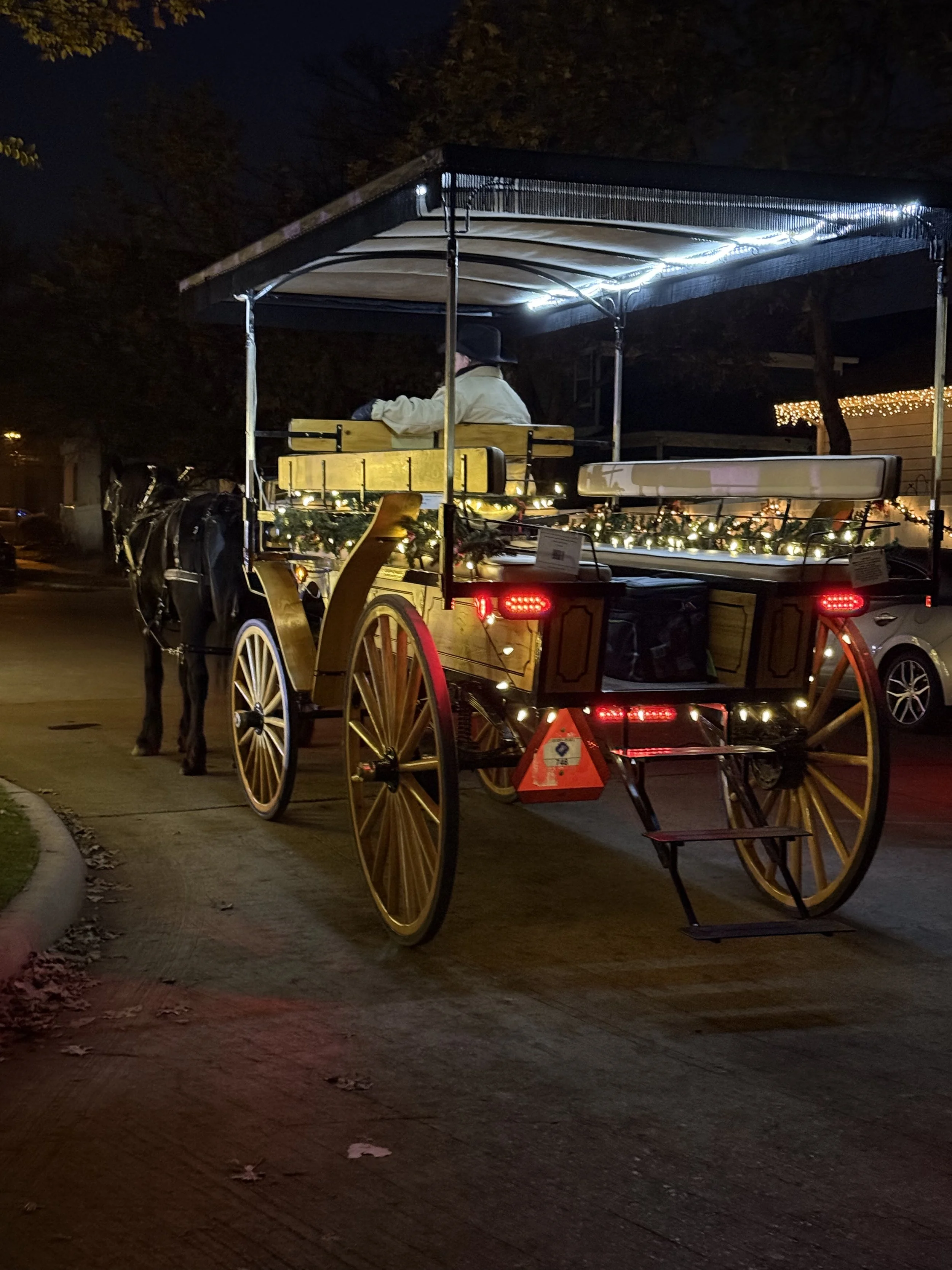 Image - 2025-12-09T103641.913.jpg