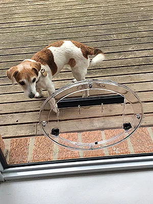 DogDoor.jpg
