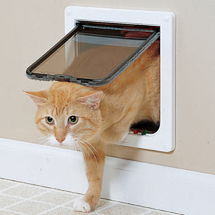 cat doors.png