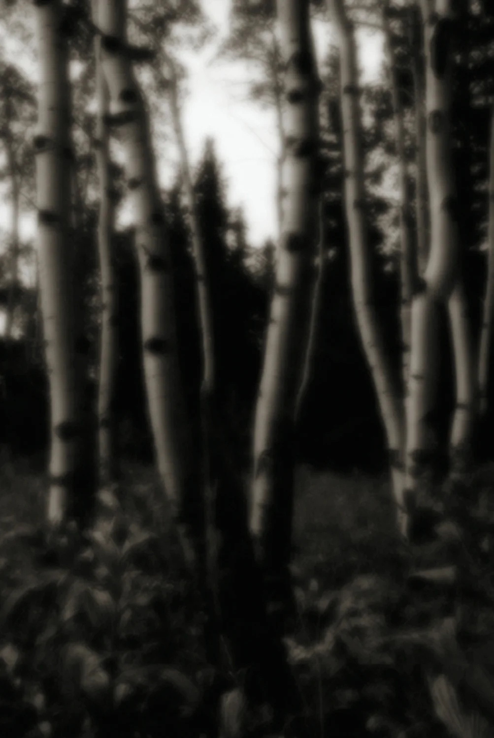 GHOSTS #ASP-35