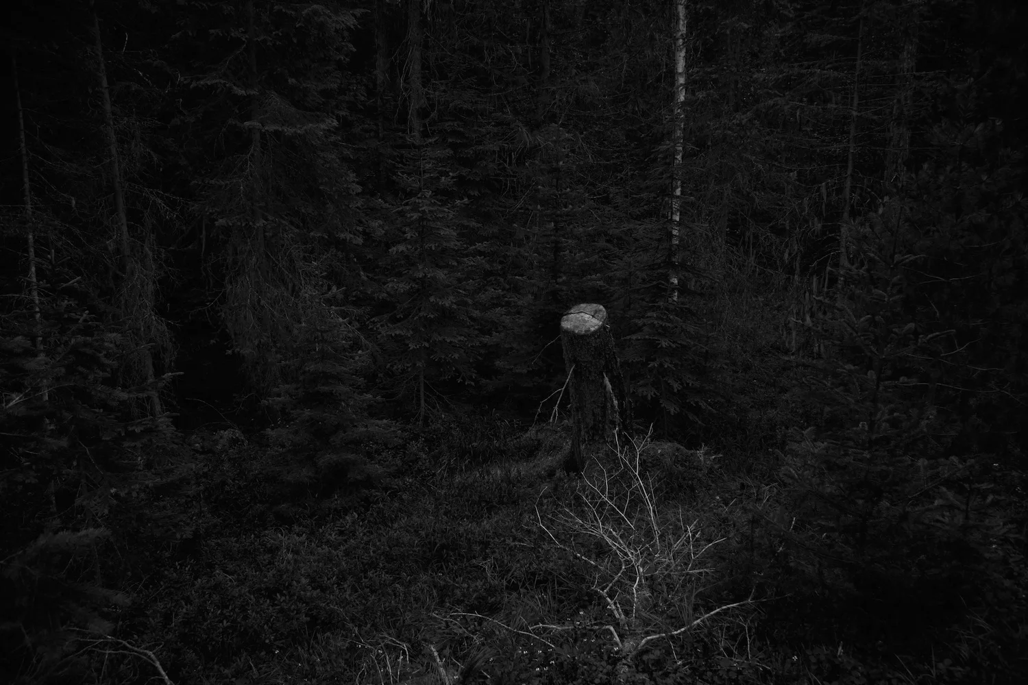 SOLITARY