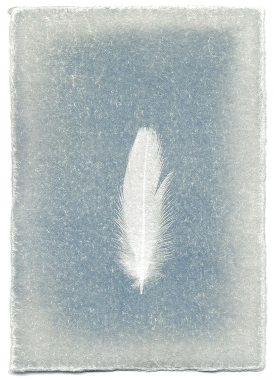 Feathers #08-3