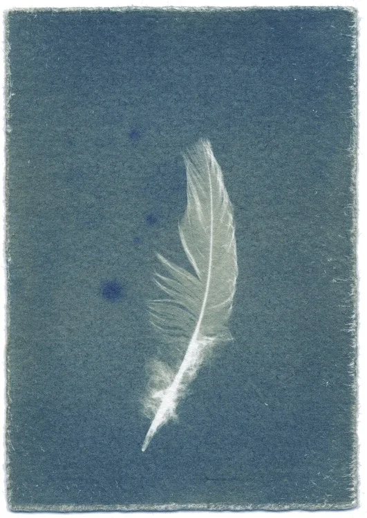 Feathers #09-3