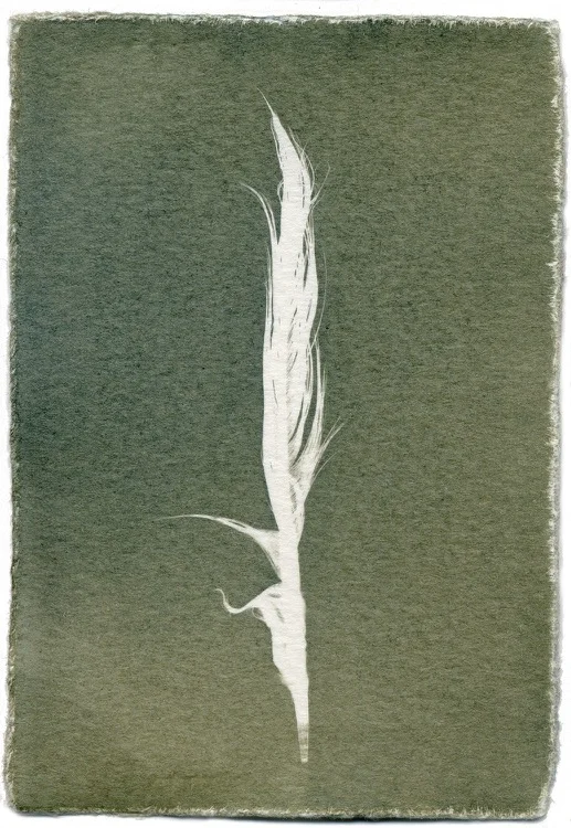 Feathers #10-6