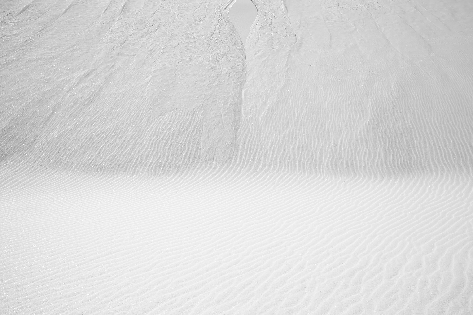 Blanca