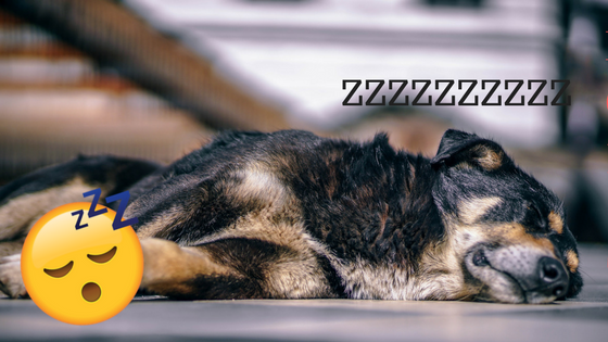 Holidays: How to let yourself rest without losing your mojo