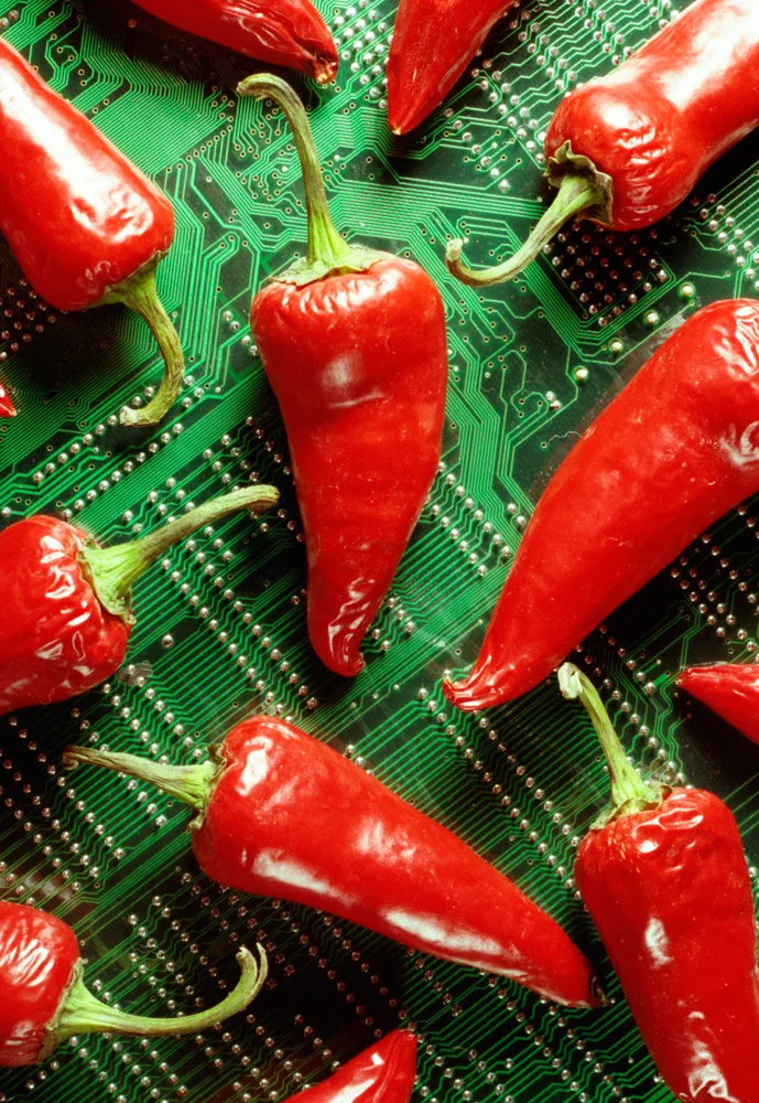 Mother-Chilis.jpg