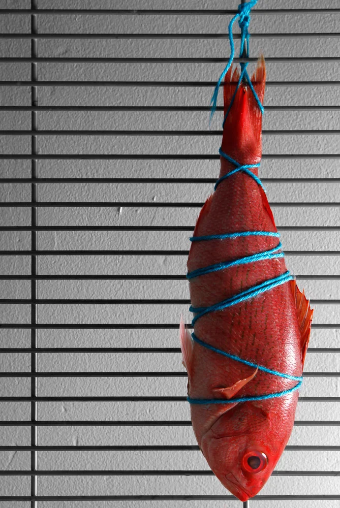 fish-grate.jpg