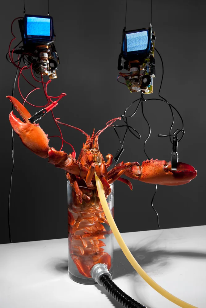 Octopodal-Proc-lobster-glass-2-tv.jpg