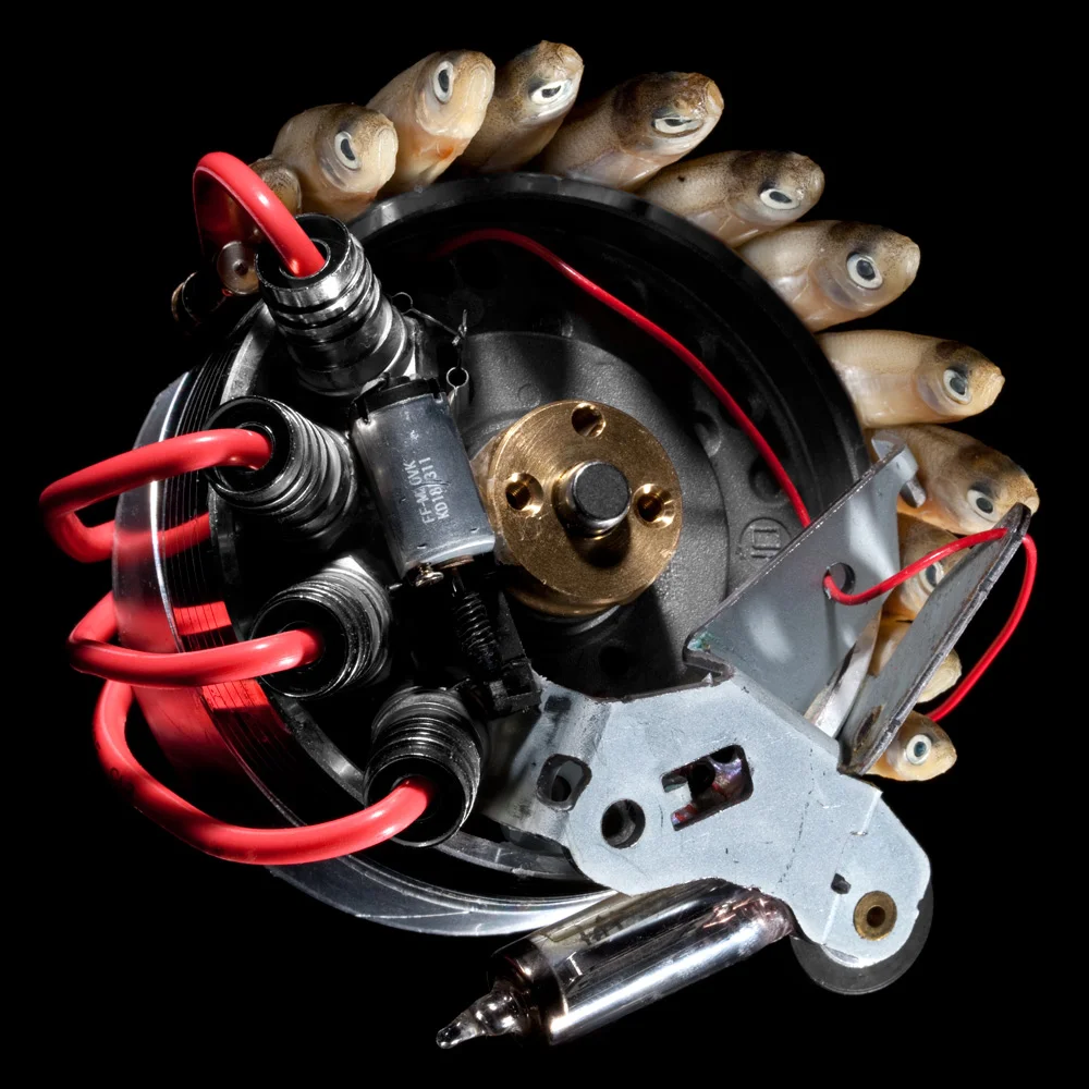 Generator-1.jpg