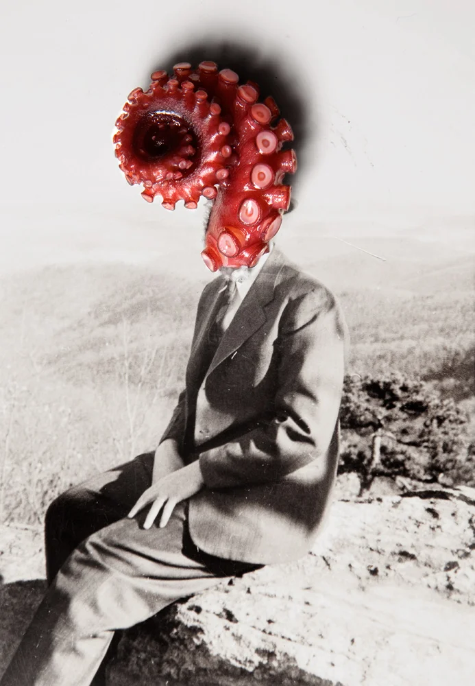 Vinti-octopus.jpg