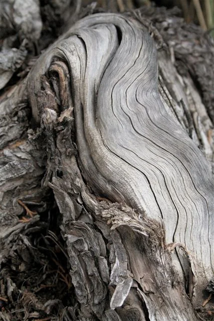 Wood Folds, (Southern Wyoming)