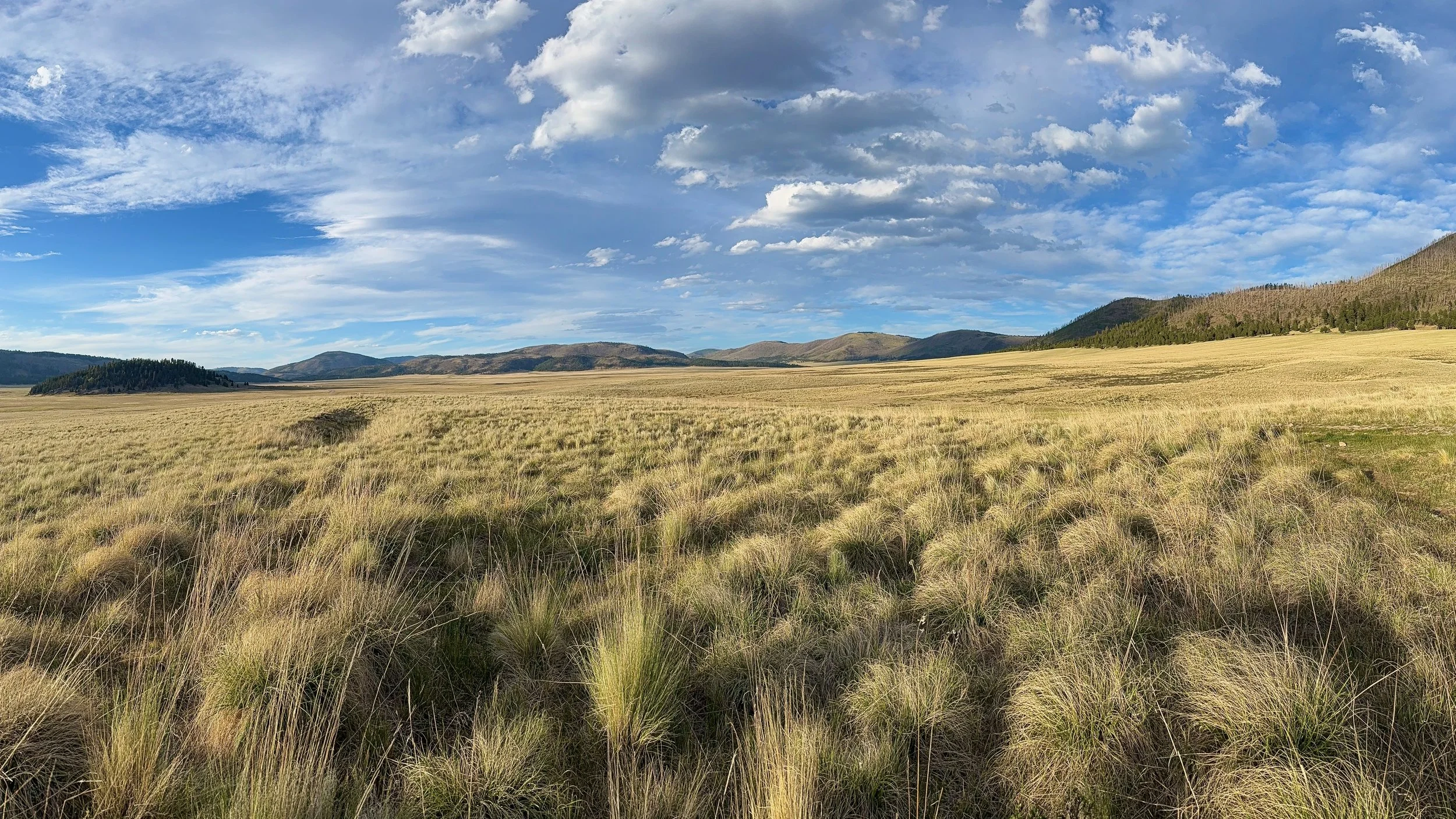 Artist Residency at Valles Caldera National Preserve