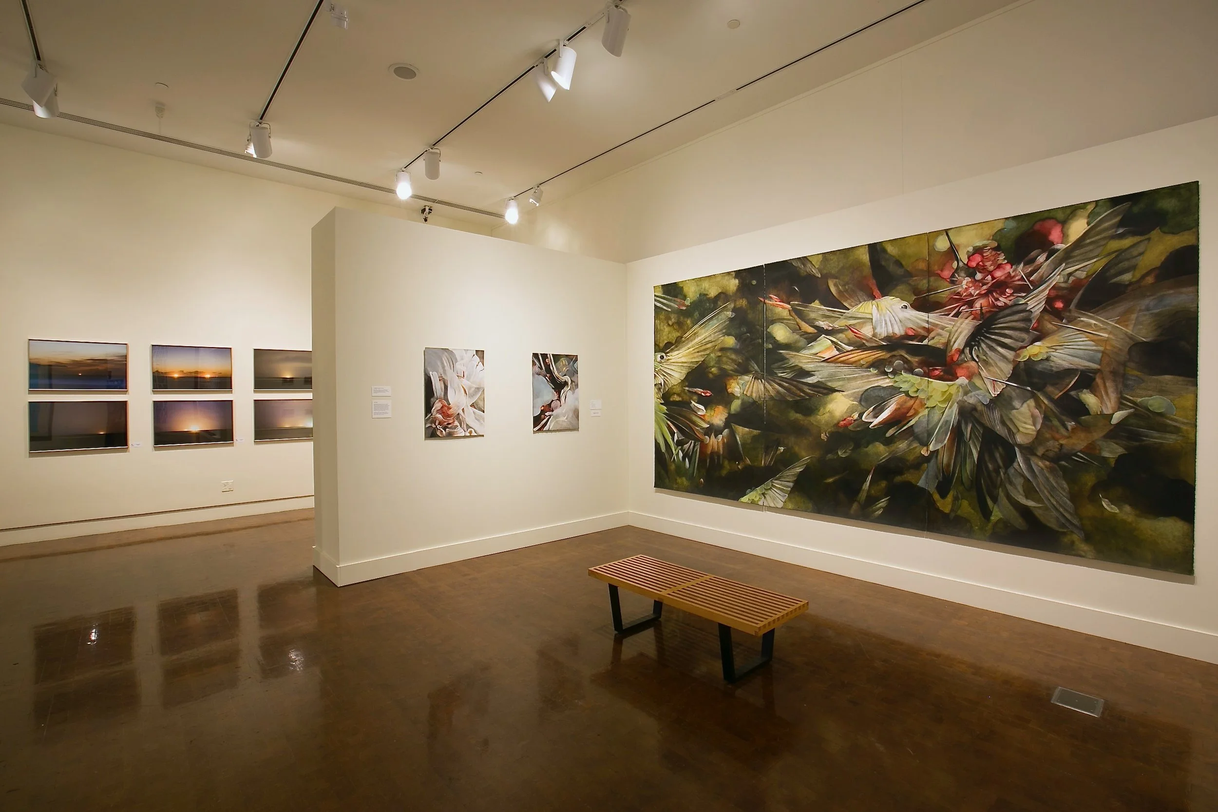 installation view | Honolulu Museum of Art