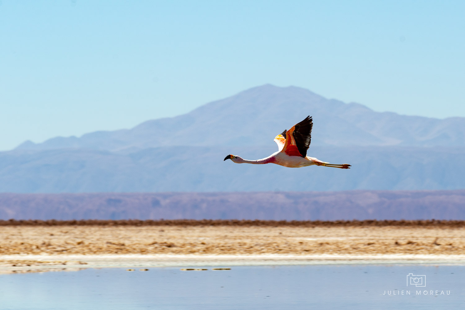 Atacama