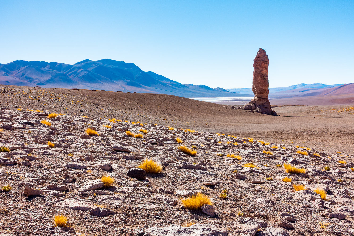 Atacama