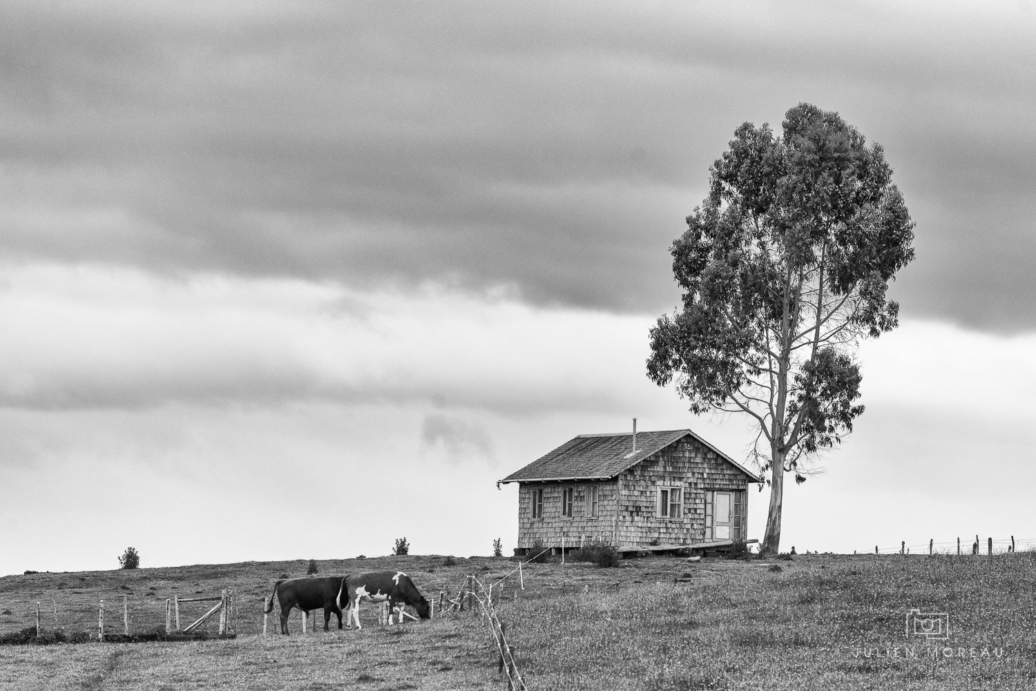 Chiloe