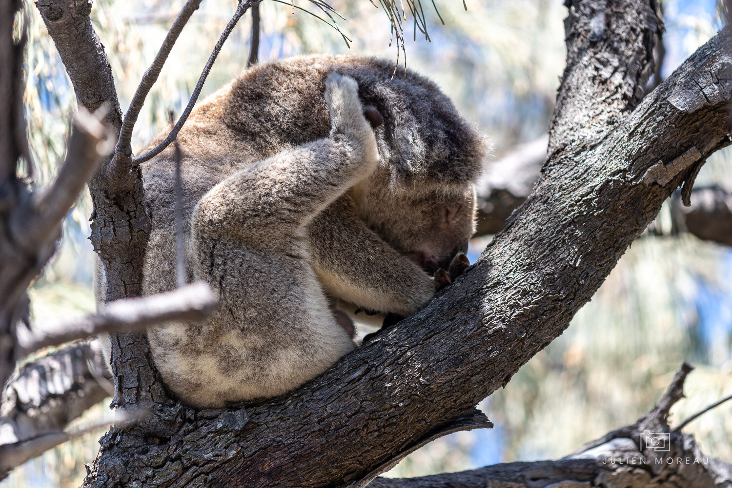 Stradbroke Island