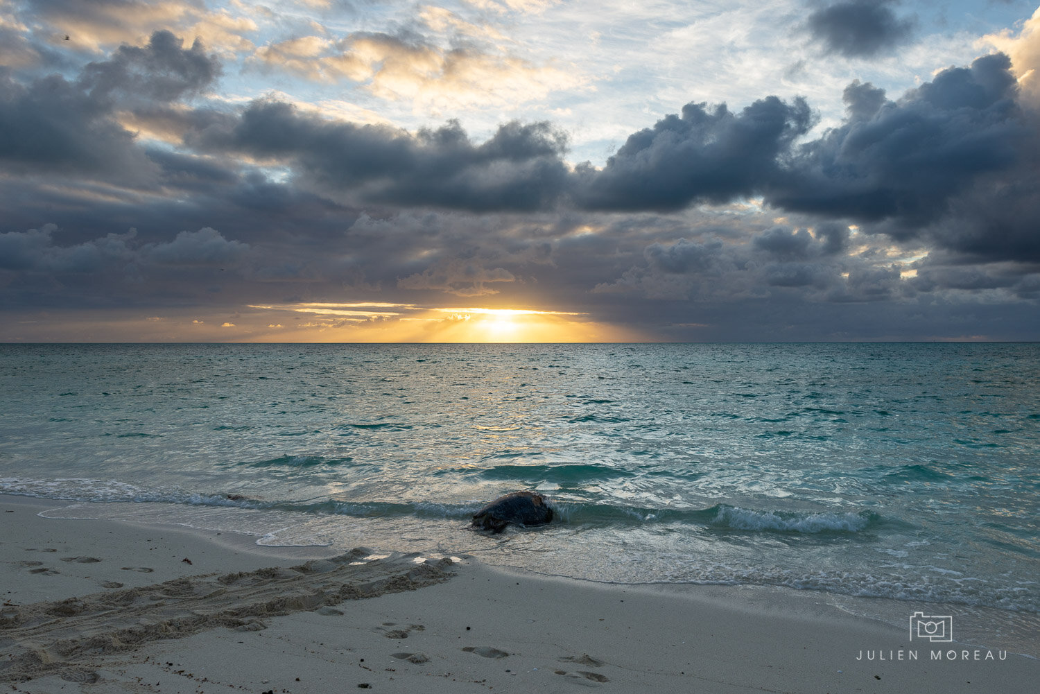 Heron Island