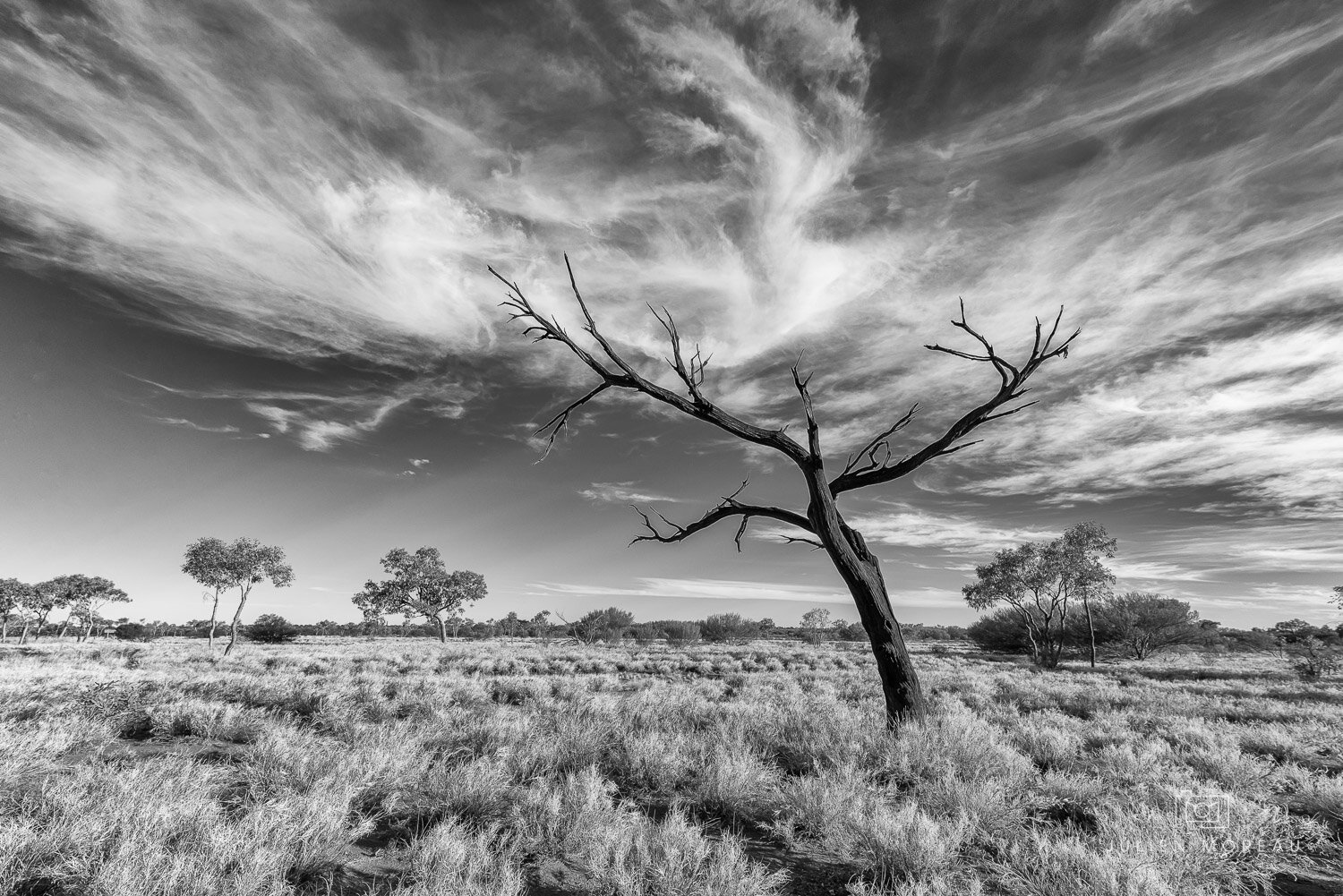 Uluru