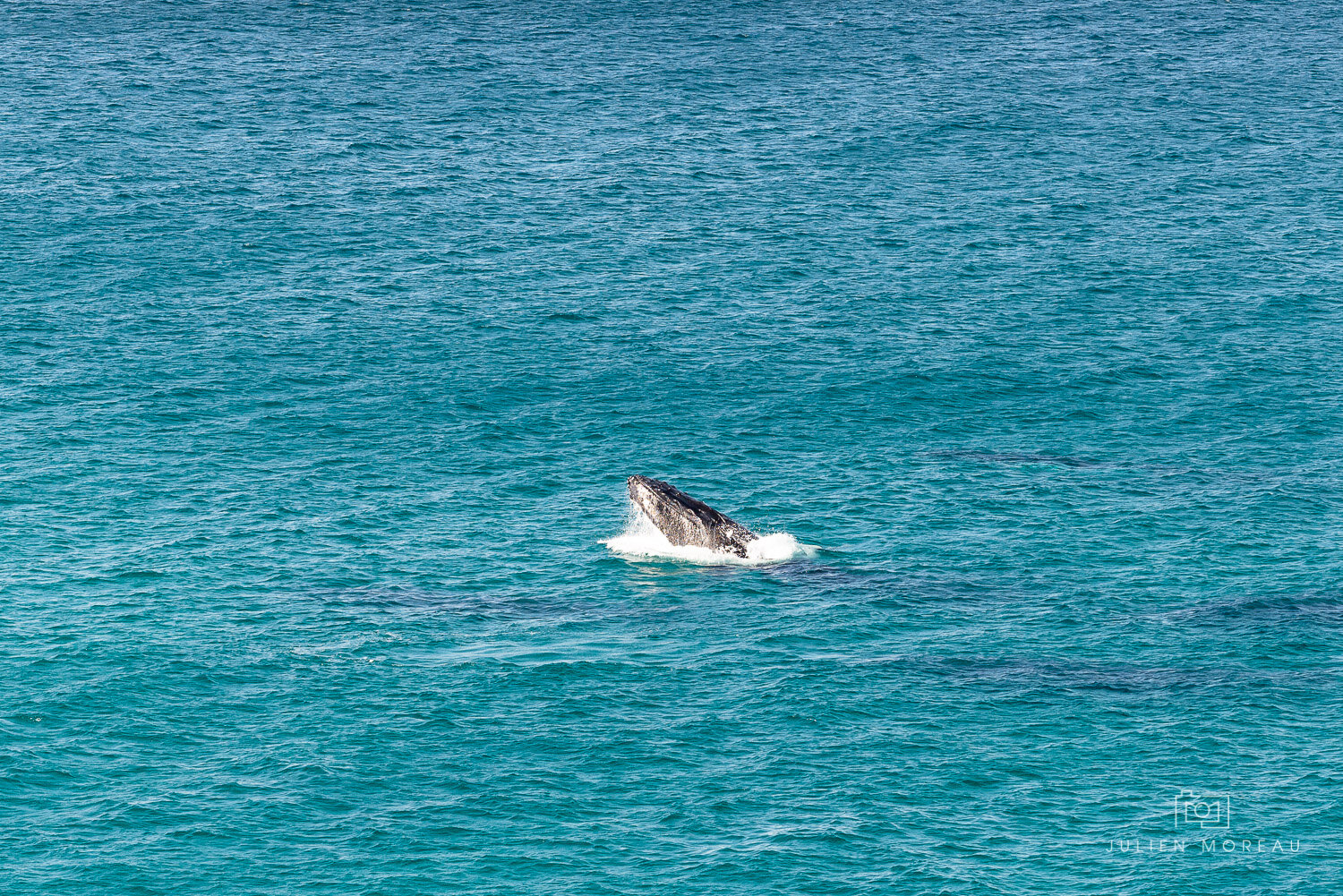 Stradbroke Island