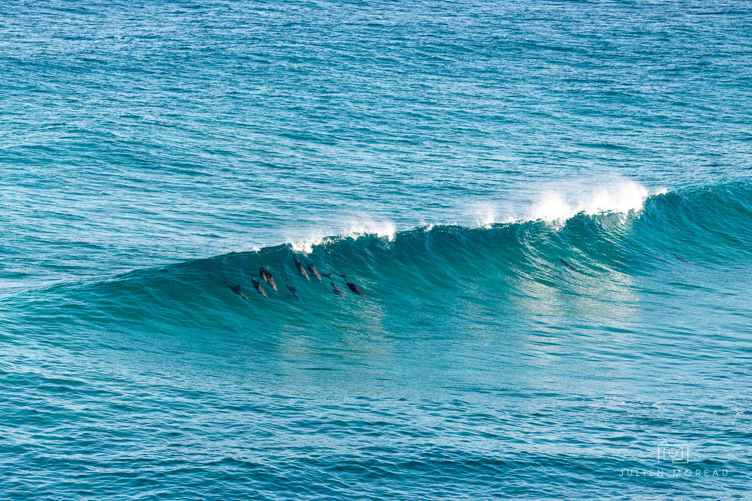 Stradbroke Island