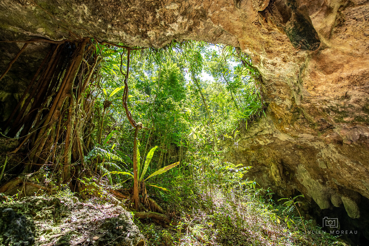 Lifou