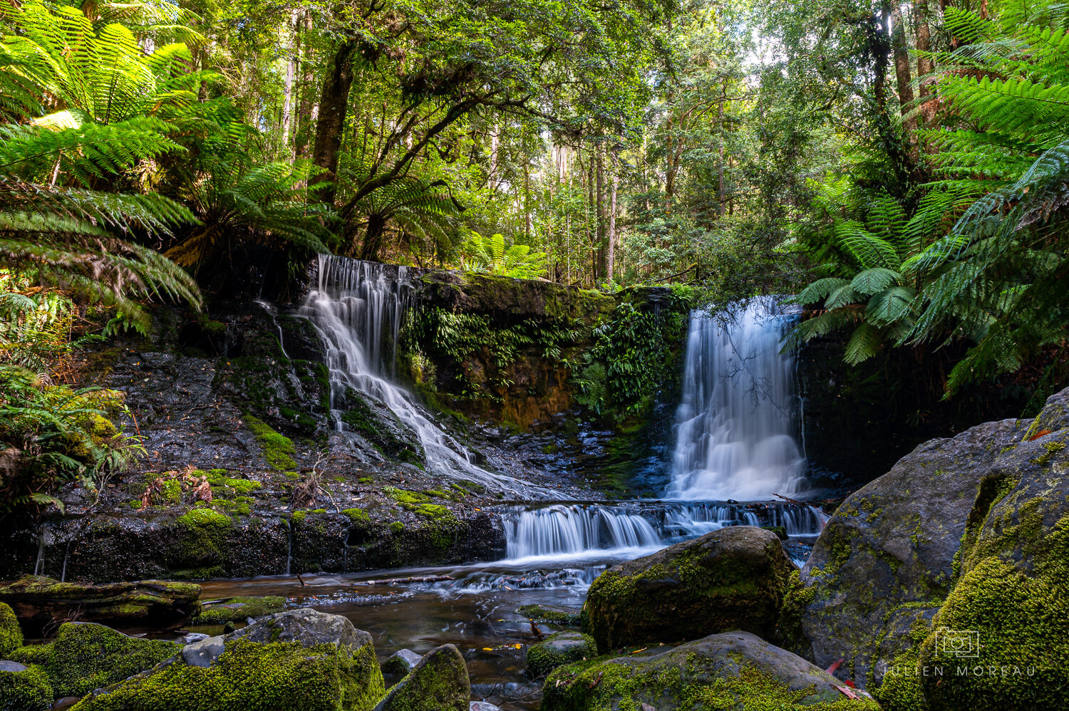 Mount Field National Park