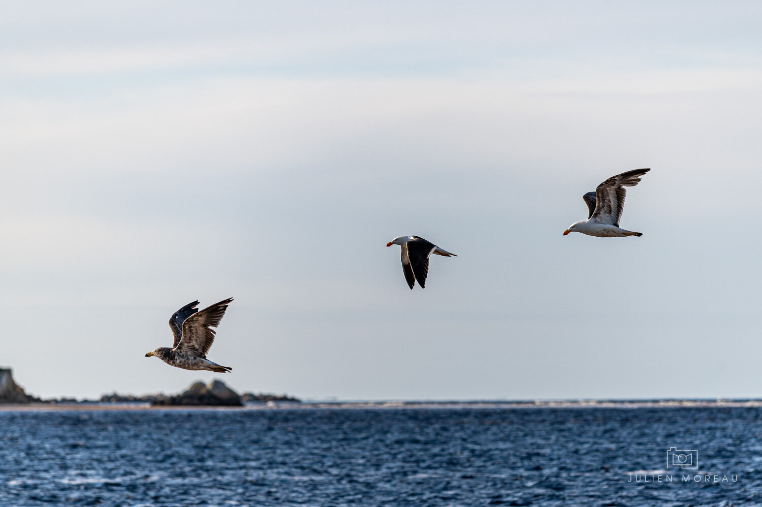 Macquarie Heads