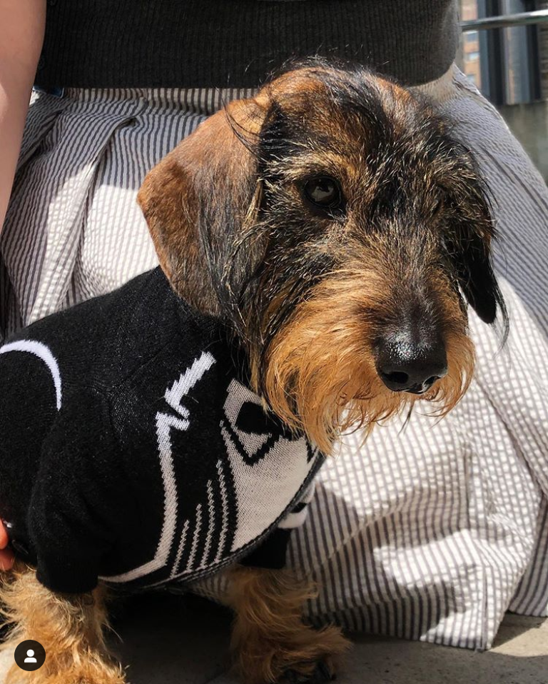 Screen Shot 2019-10-21 at 11.56.16 PM.png