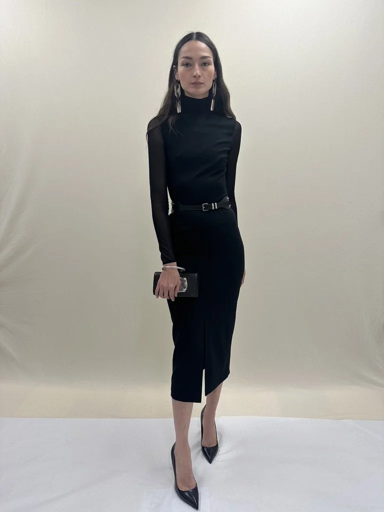 Pre fall 2024 - Turtle Neck Sheer sleeve pullover in matte viscose 