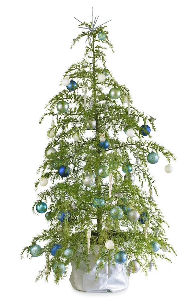 Meredith Lee's new range of decorated Christmas trees — Meredith Lee