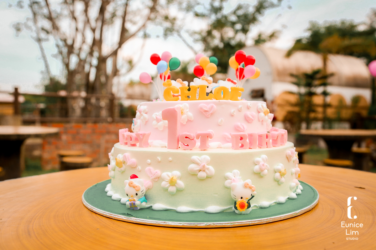 Chloe 1st Bday (V2017)-90.jpg
