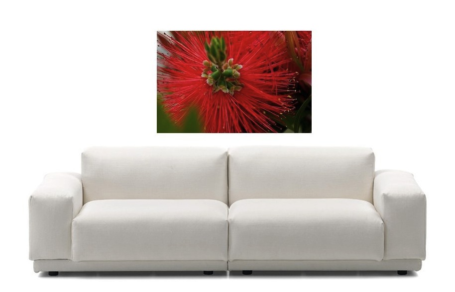Foto creando ambiente...
