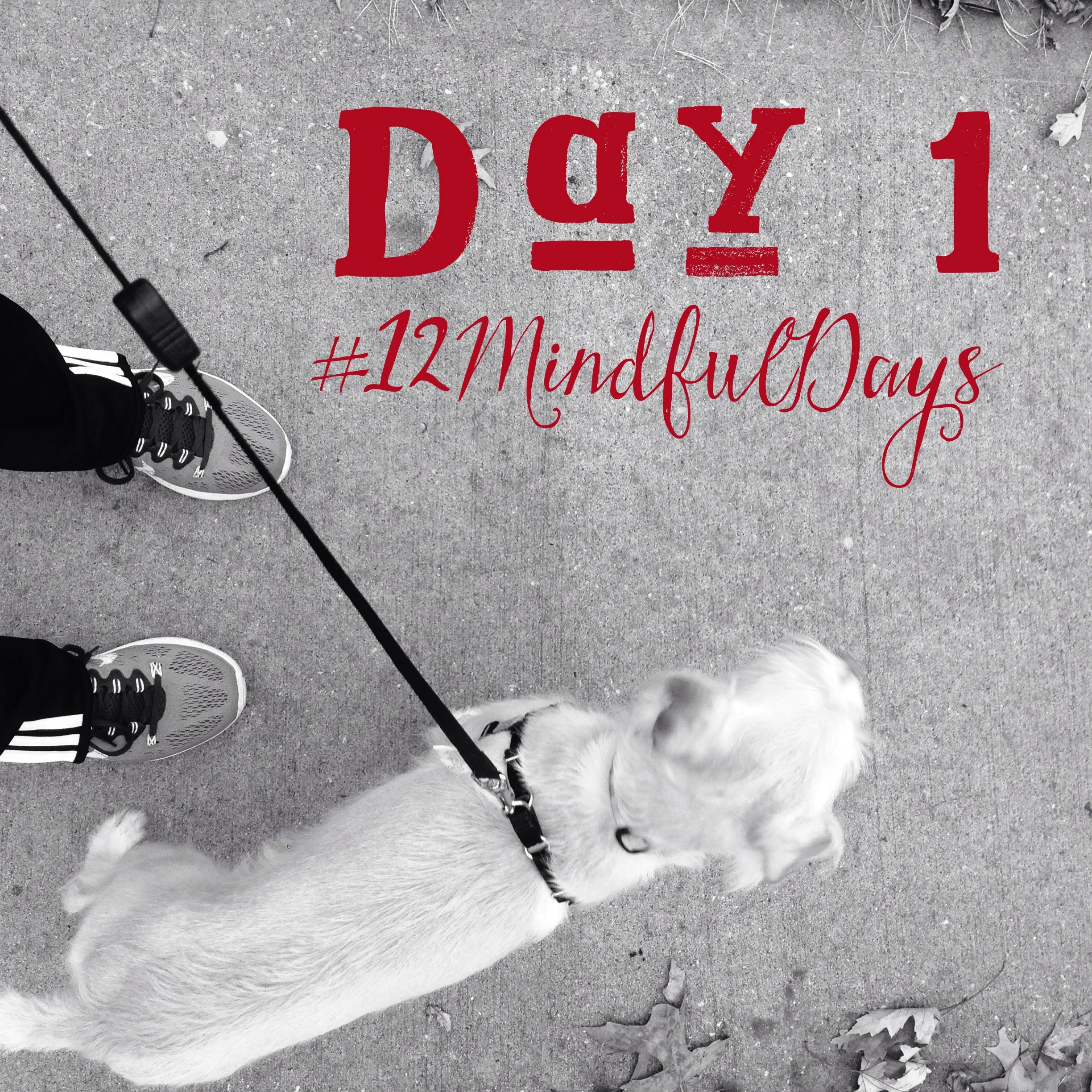 12mindfuldays-day1.jpg