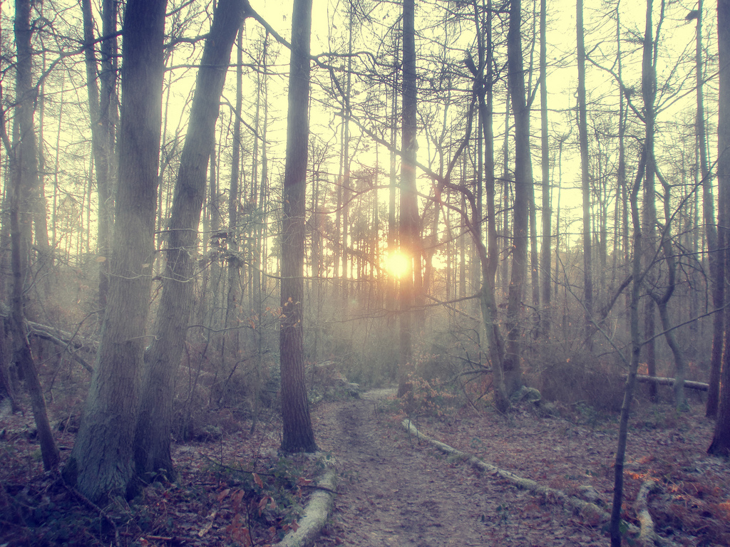 CC image via Chloe Hague on Flickr