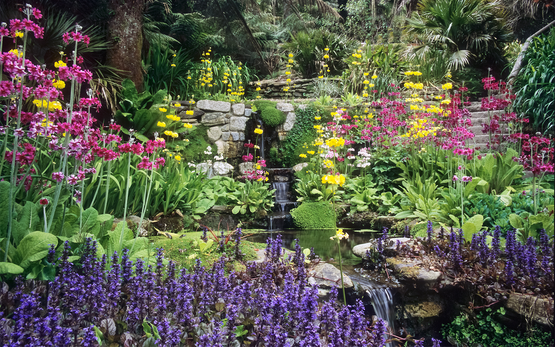 CC photo via ukgardenphotos on Flickr