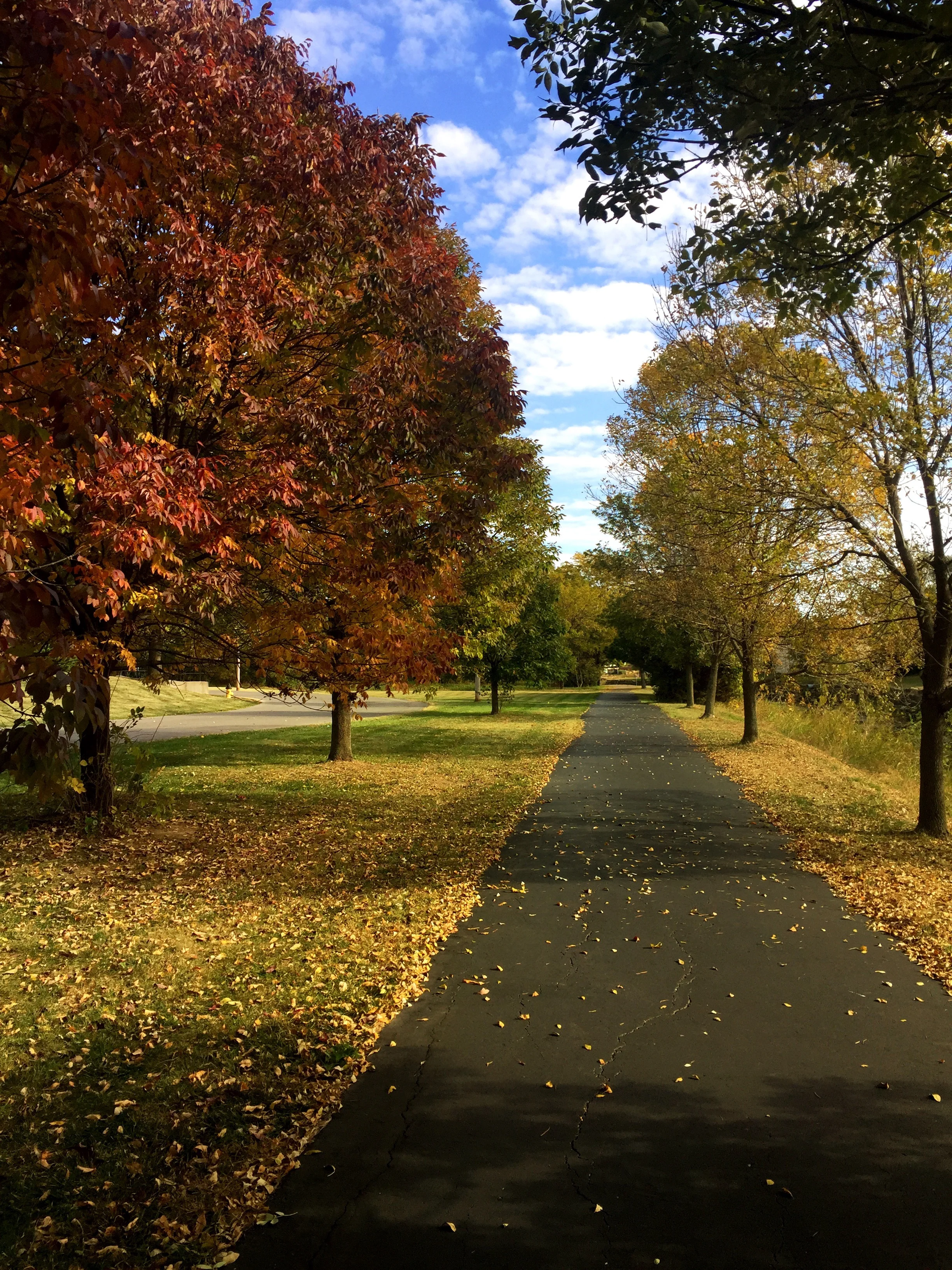 Simple mantras to cultivate gratitude